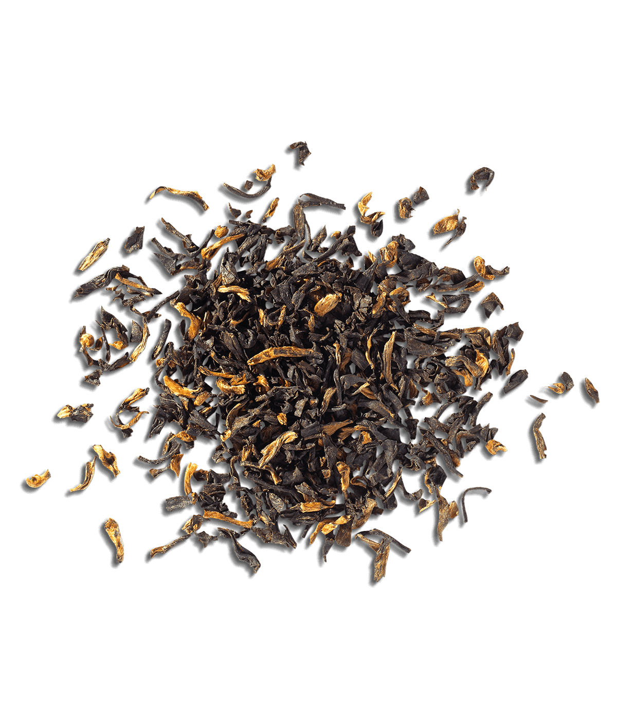 Assam Golden Tip